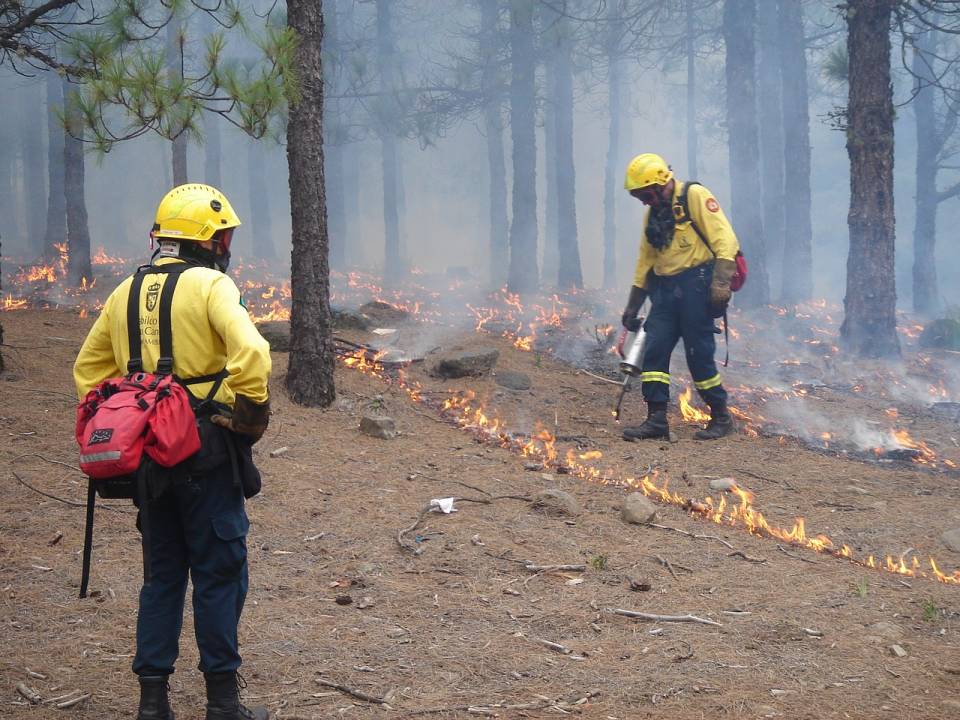 Incendi boschivi: scatta in Liguria lo stato di grave pericolosità